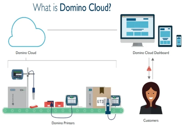 product-detail-Domino Automation