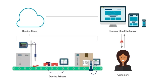 product-detail-Domino Cloud